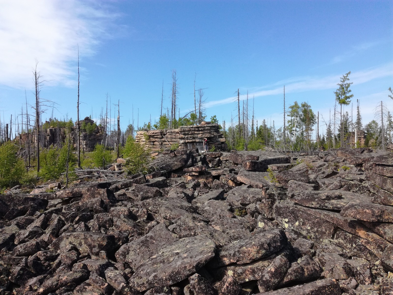 A little nature of the Irkutsk region. - My, The nature of Russia, Irkutsk region, Eaglet, Longpost