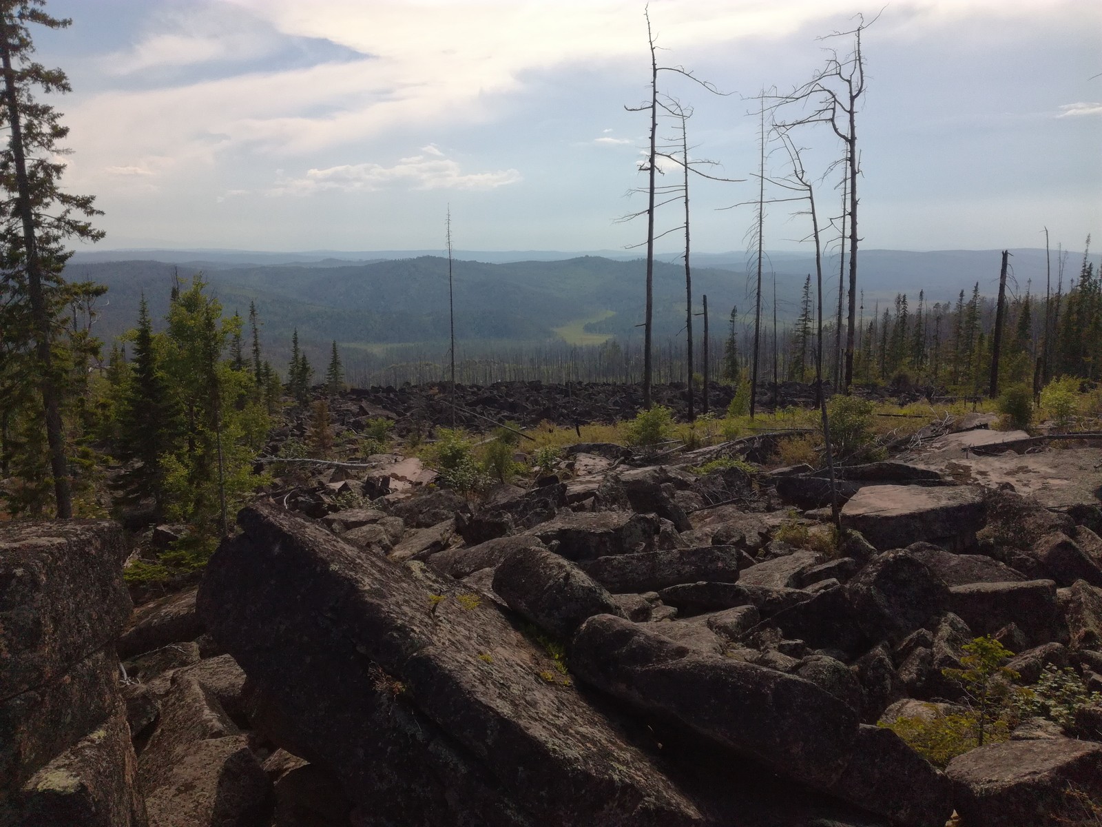 A little nature of the Irkutsk region. - My, The nature of Russia, Irkutsk region, Eaglet, Longpost