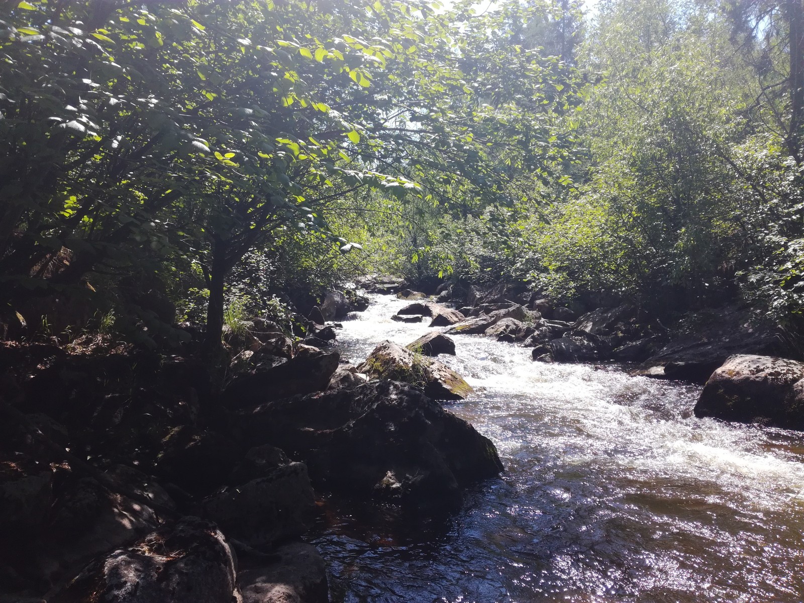 A little nature of the Irkutsk region. - My, The nature of Russia, Irkutsk region, Eaglet, Longpost