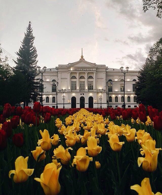 Evening TSU - Tomsk, TSU, University, Flowers, Evening