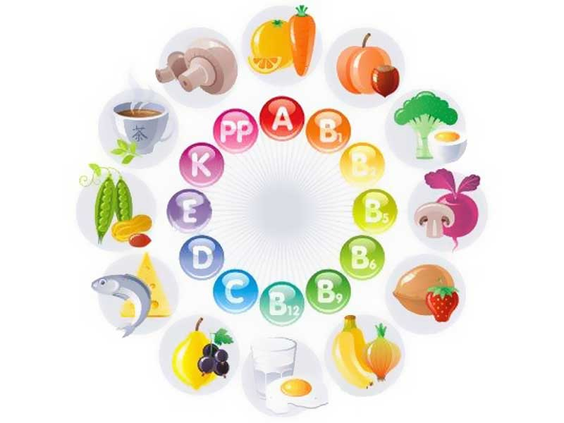 [Supplements for every day] Vitamins. - Sport, Fitness, Health, beauty, Longevity, Information