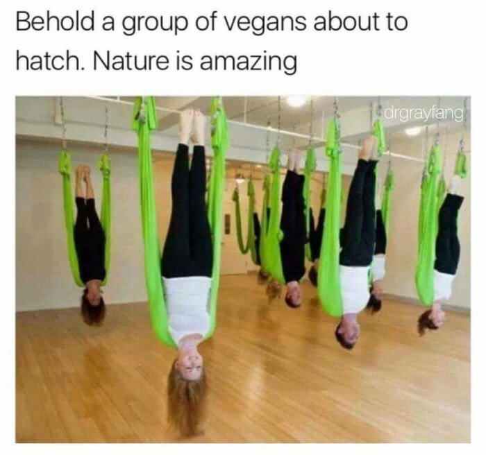 Minutka Drozdov - Vegan, Nature, 9GAG