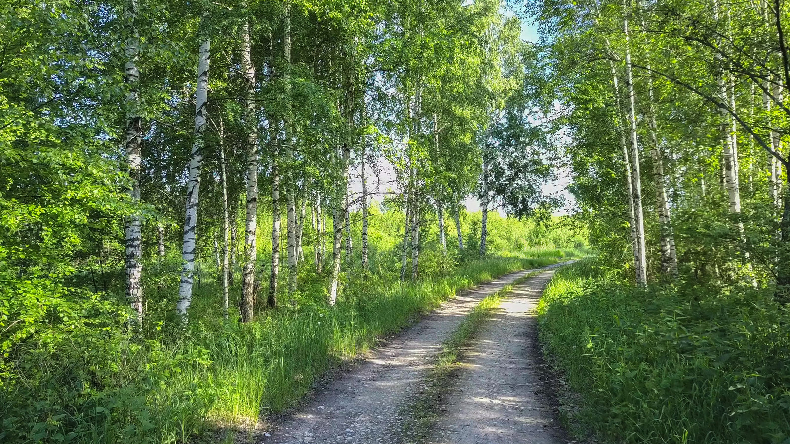 Фото с квадрокоптера. Егорьевский район. - Моё, Фотография, C высоты птичьего полета, Квадрокоптер, Егорьевский район, Московская область, DJI Mavic PRO, Длиннопост