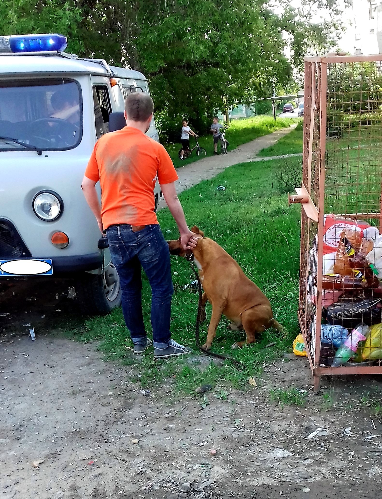 Жаль, что легко отделается. - Моё, Скорая помощь, Пьянь с собакой, Амстафф, Охранник, Возмущение, Длиннопост, Пьяные