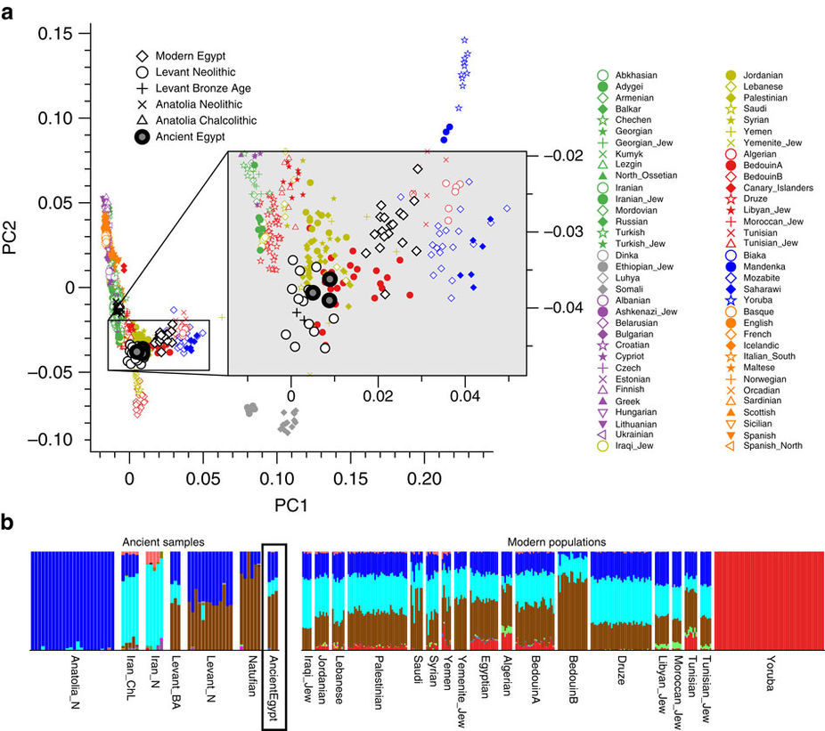 Science against racism. The history of peoples by DNA. - DNA, Racism, The science, , Mixing, Egypt, Genetics, Longpost