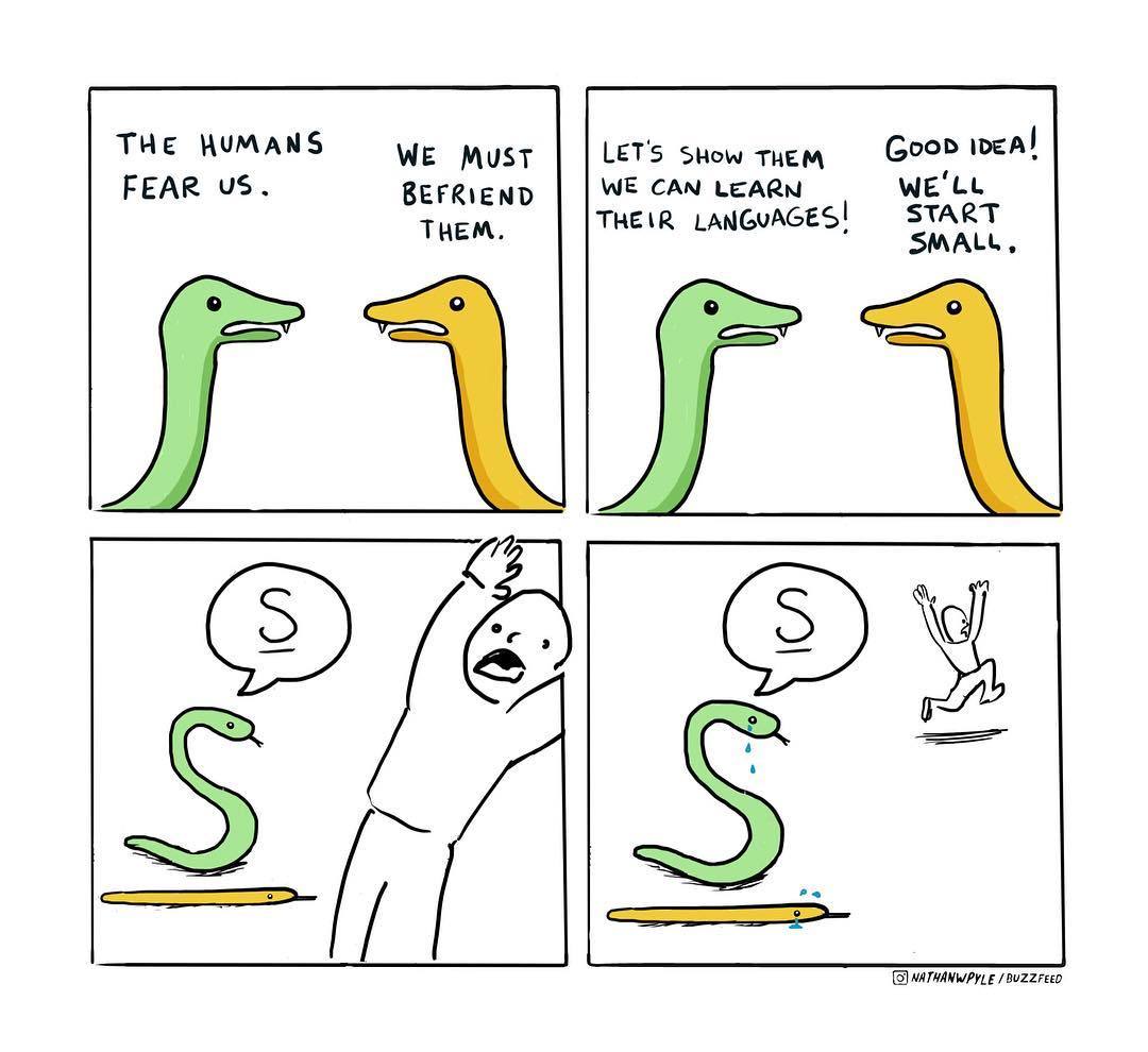 People are afraid of us - Nathan w Pyle, Buzzfeed, Comics, Snake, Fear