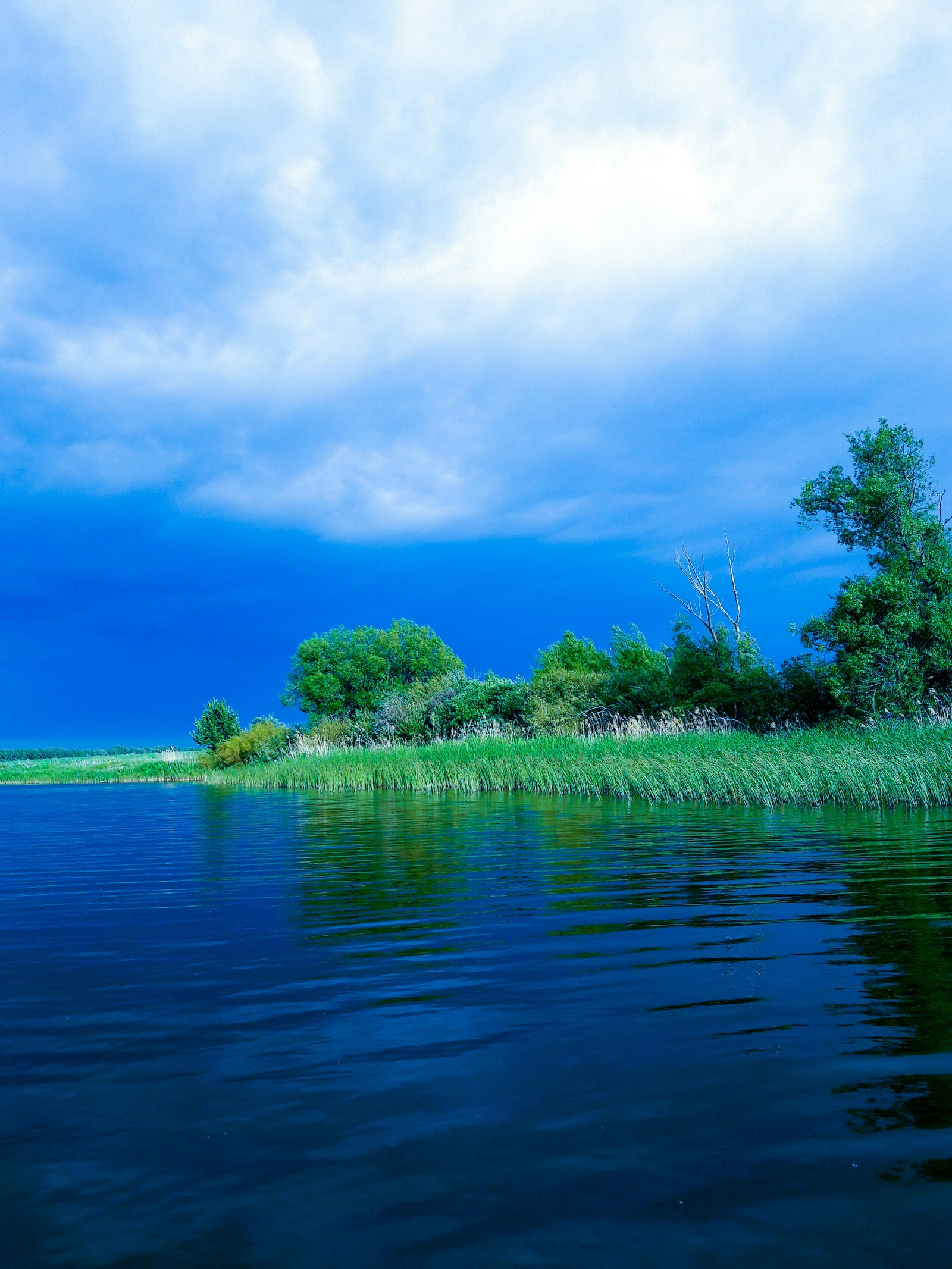 A river between two regions, Lipetsk and Tambov - My, Nature, River, Russia, Homeland, The photo, Favorite