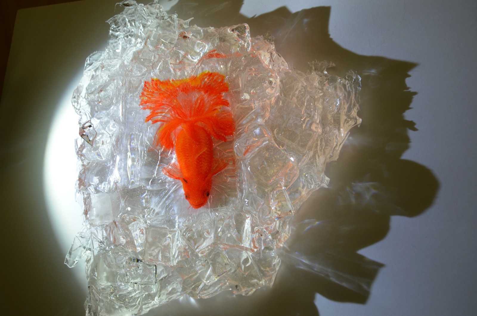 Fish in ice - My, Hobby, Drawing, A fish, Gold fish, Epoxy resin, Needlework, Sculpture