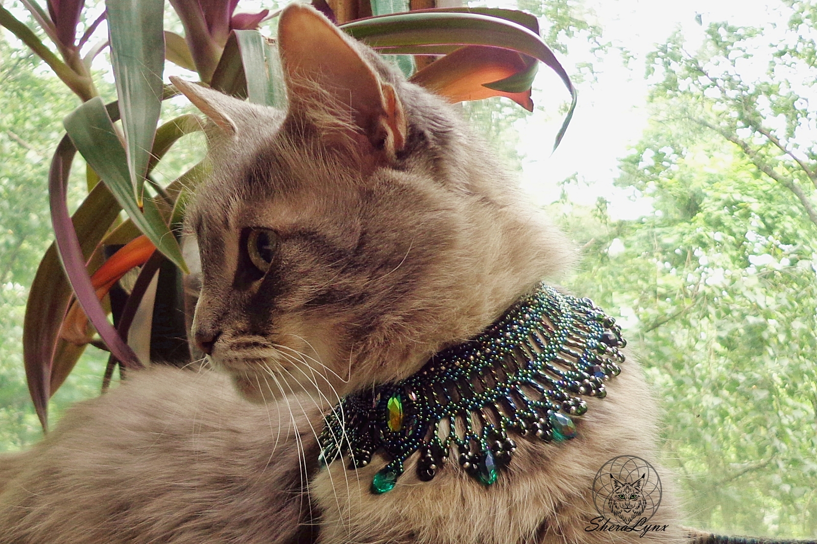 cat jewelry - My, Beads, Handmade, Needlework, Needlework without process, cat, Pet, Egypt, Friday tag is mine, Longpost, Pets