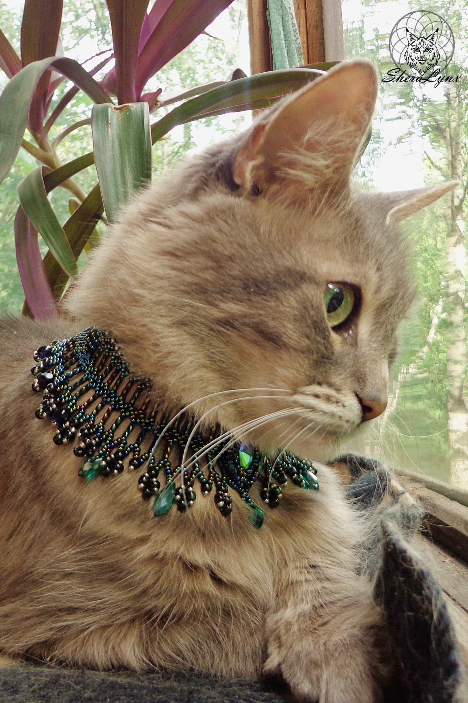 cat jewelry - My, Beads, Handmade, Needlework, Needlework without process, cat, Pet, Egypt, Friday tag is mine, Longpost, Pets