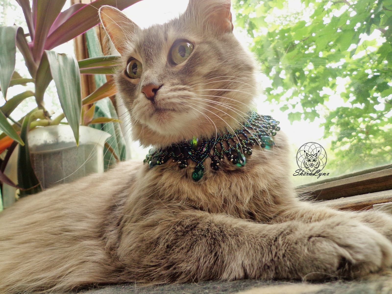 cat jewelry - My, Beads, Handmade, Needlework, Needlework without process, cat, Pet, Egypt, Friday tag is mine, Longpost, Pets