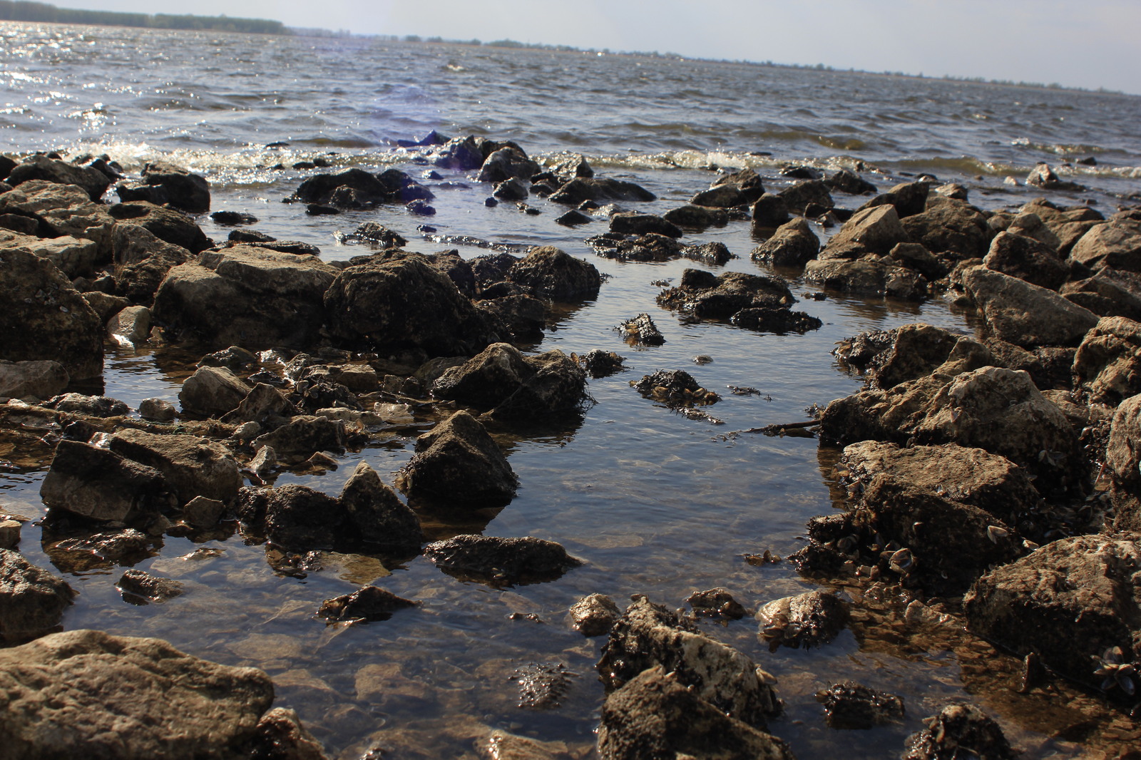 The beauty of the Samara region - My, My, Canon, Samara Region, Summer, Volga river, Volga, Longpost, River