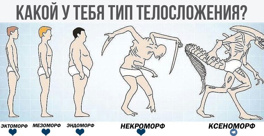 Physique - Physique, Ectomorph, Mesomorph, Endomorph, Necromorphs, Xenomorph