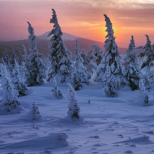 TAGANAI NATIONAL PARK: MAGICAL RUSSIAN WINTER - Winter, Russia, The photo, The park, Tourism, Travels, Landscape, Nature, Longpost