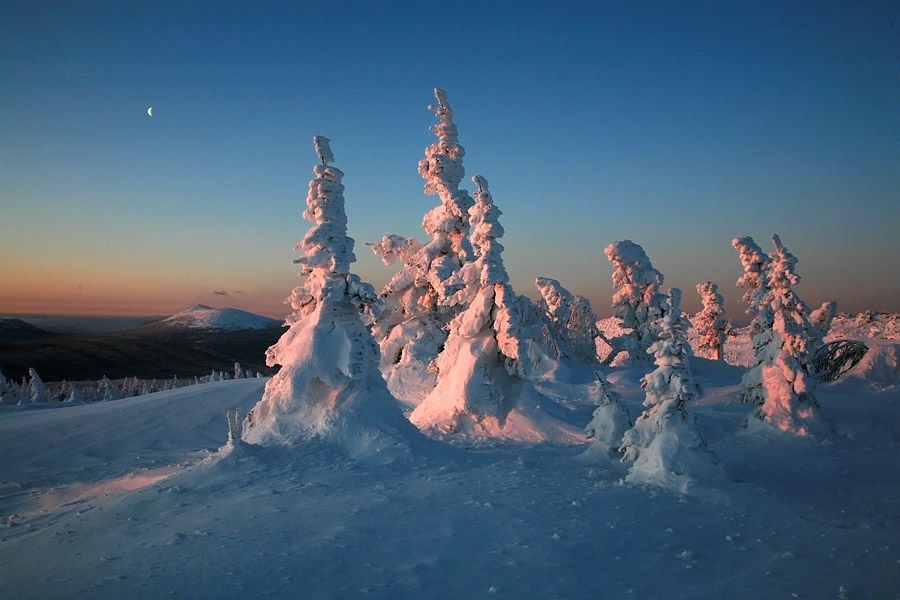 TAGANAI NATIONAL PARK: MAGICAL RUSSIAN WINTER - Winter, Russia, The photo, The park, Tourism, Travels, Landscape, Nature, Longpost