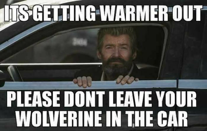 Be careful! - Wolverine X-Men, X-Men, Summer, Attentiveness, Kindness, 9GAG, Wolverine (X-Men)