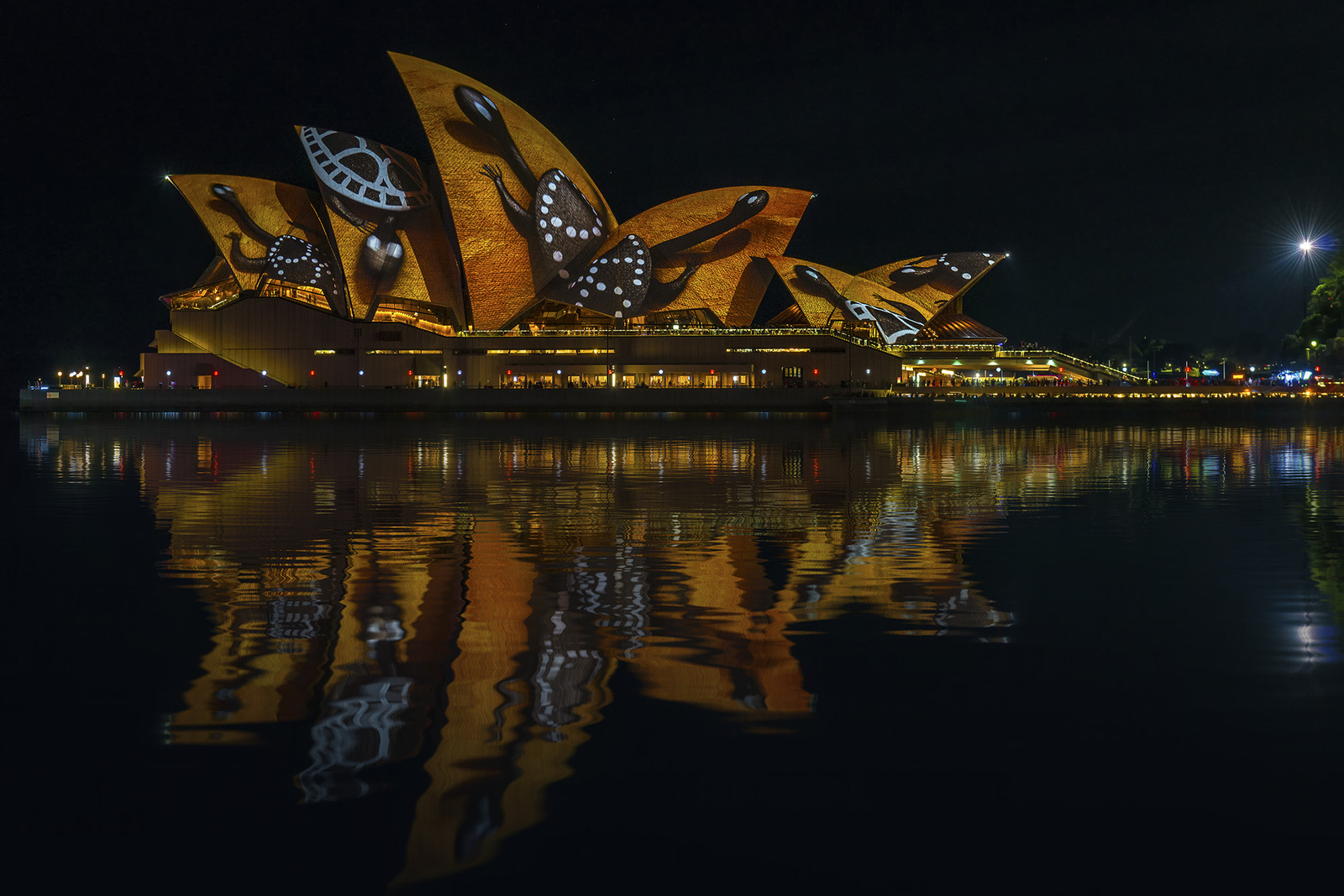 Sydney Opera House during the Vivid Sydney Festival. Part 2 (2015-2017) - The photo, Sydney Opera House, Sydney, The festival, Backlight, Color, Longpost