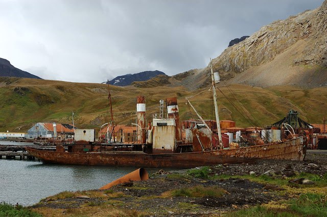 Abandoned whaling station (Great Britain, Grytviken). - , Abandoned, A world without people, Longpost