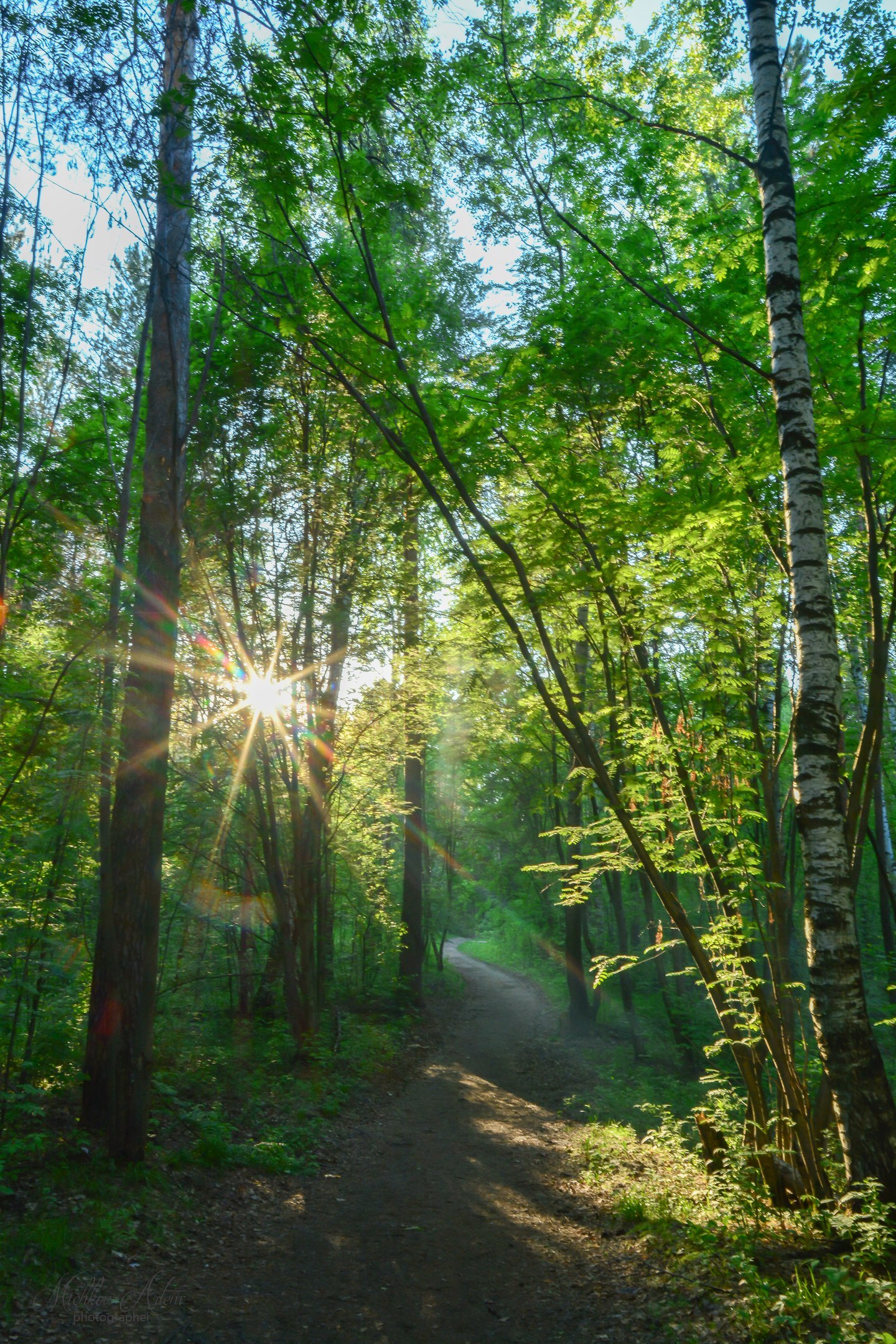 Chernyaevsky forest. - My, Nature, Permian, Chernyayevsky Forest, , Longpost