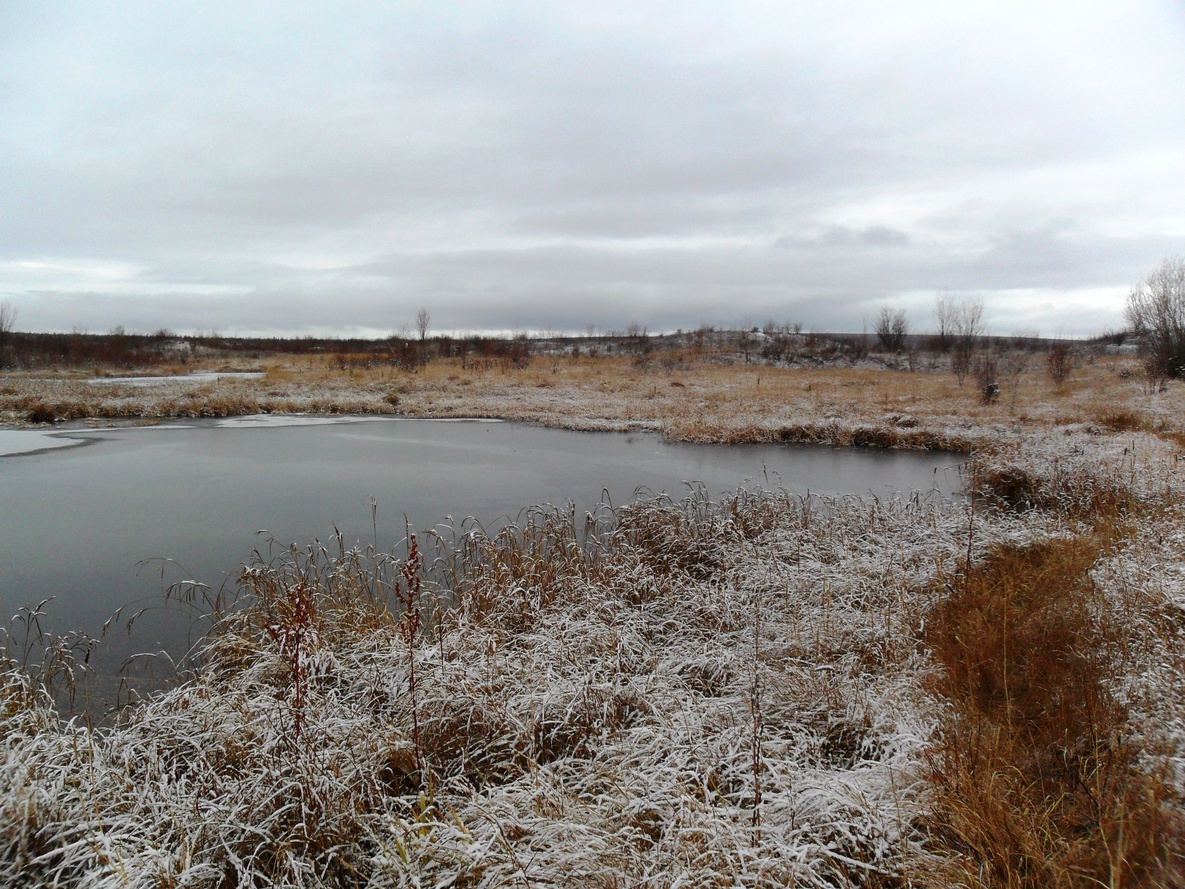 On Daldyn - My, Yakutia, The nature of Russia, River, Cultural rest, Video, Longpost