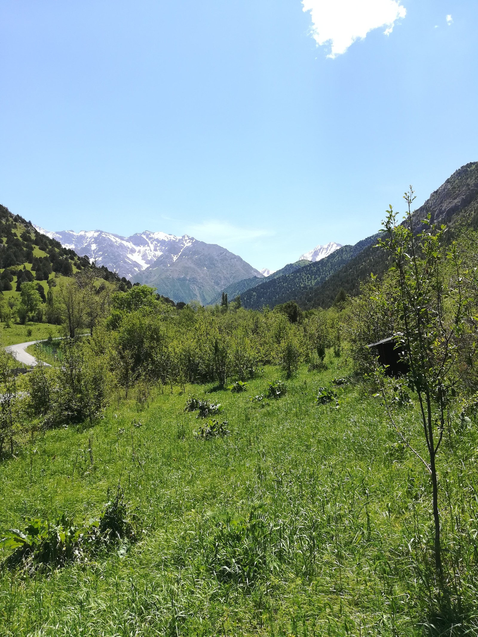 Not so steppes in Kazakhstan - Kazakhstan, Nature, The mountains