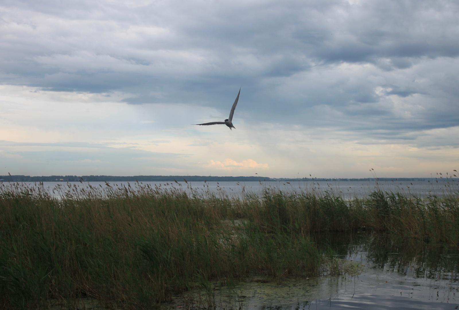 Die Ruhe vor dem Sturm - My, The photo, My, Chelyabinsk, Smolino, Longpost