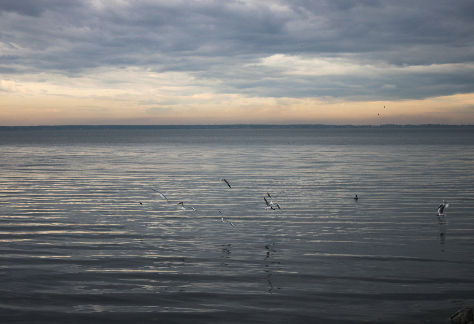 Die Ruhe vor dem Sturm - Моё, Фотография, Моё, Челябинск, Смолино, Длиннопост