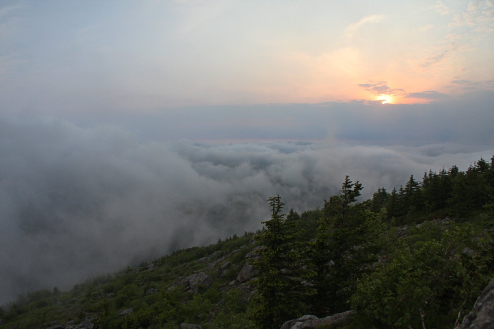 In the Suvodi of the Seaside Mists. - My, The photo, Primorsky Krai, Longpost