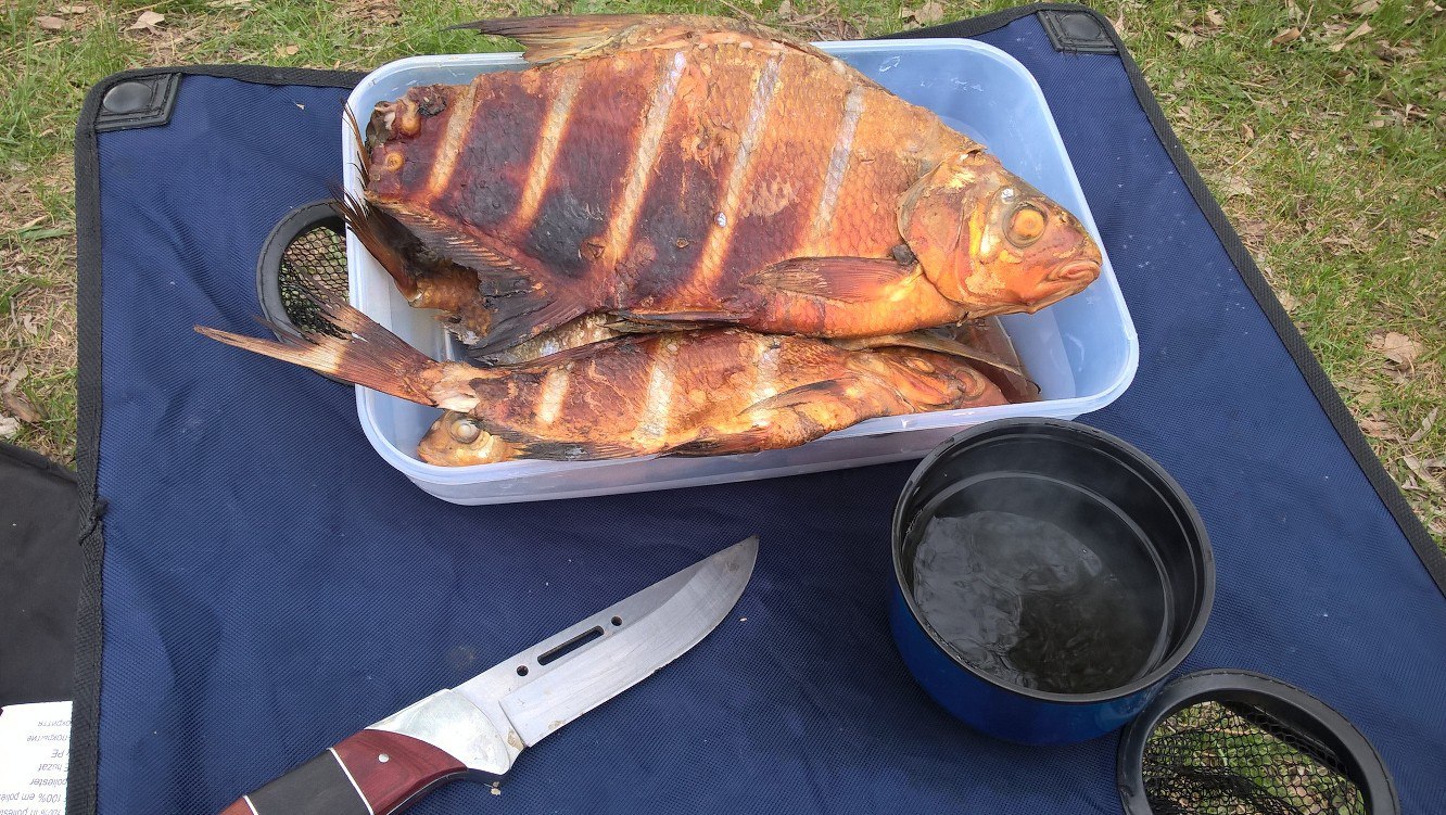 Smoked scoundrels. - My, Fishing, Feeder, The photo