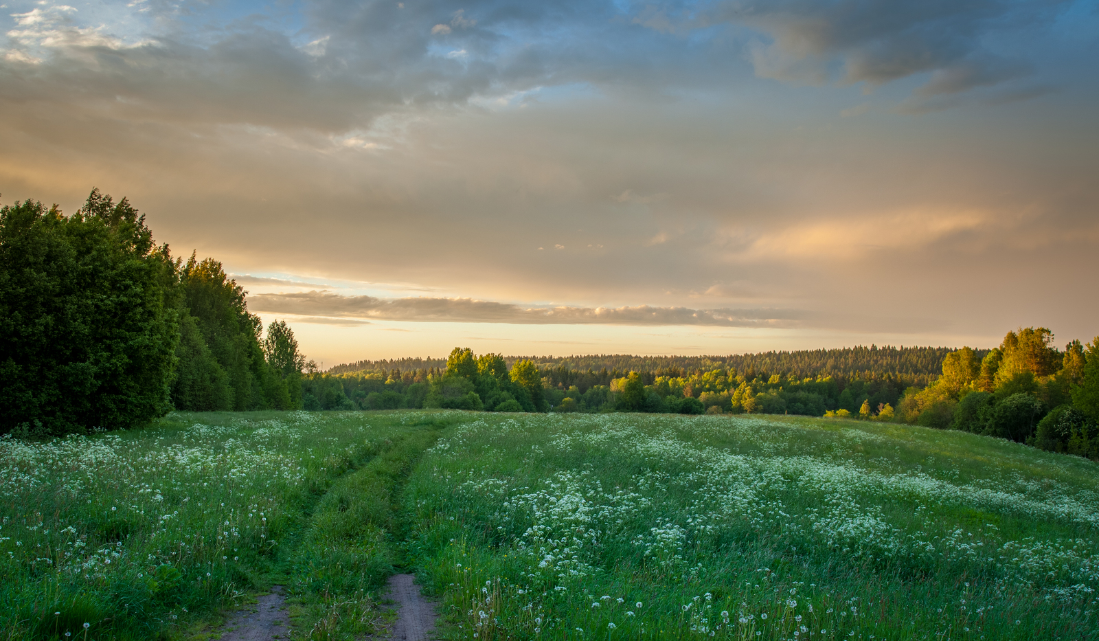 Evening Leningrad region - My, Leningrad region, Sunset, The Gulf of Finland, Rainbow, Sky, Evening, Longpost