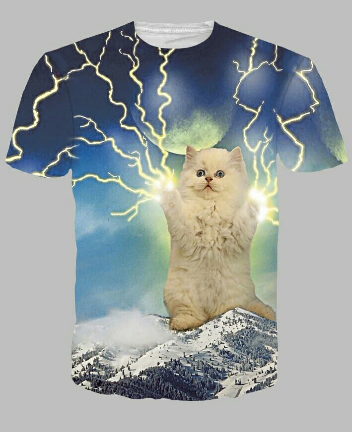 A bit of fashion from aliexpress - T-shirt, cat, Fashion, AliExpress, Aliexpress, Longpost, First long post, Chinese goods