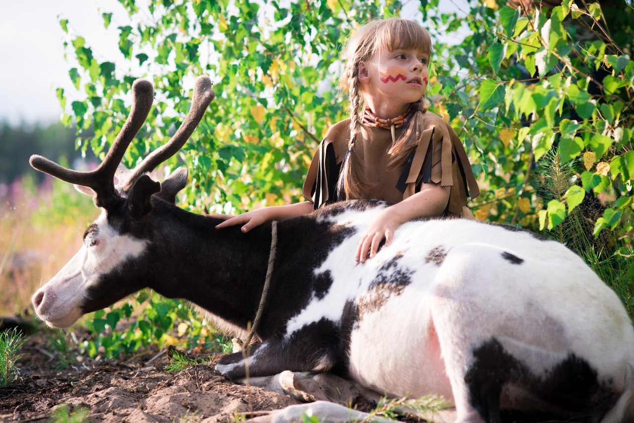 Near Volokolamsk, hunting dogs bit animals from a petting zoo to death - Deer, mini zoo, Tragedy, Volokolamsk, Longpost, Deer