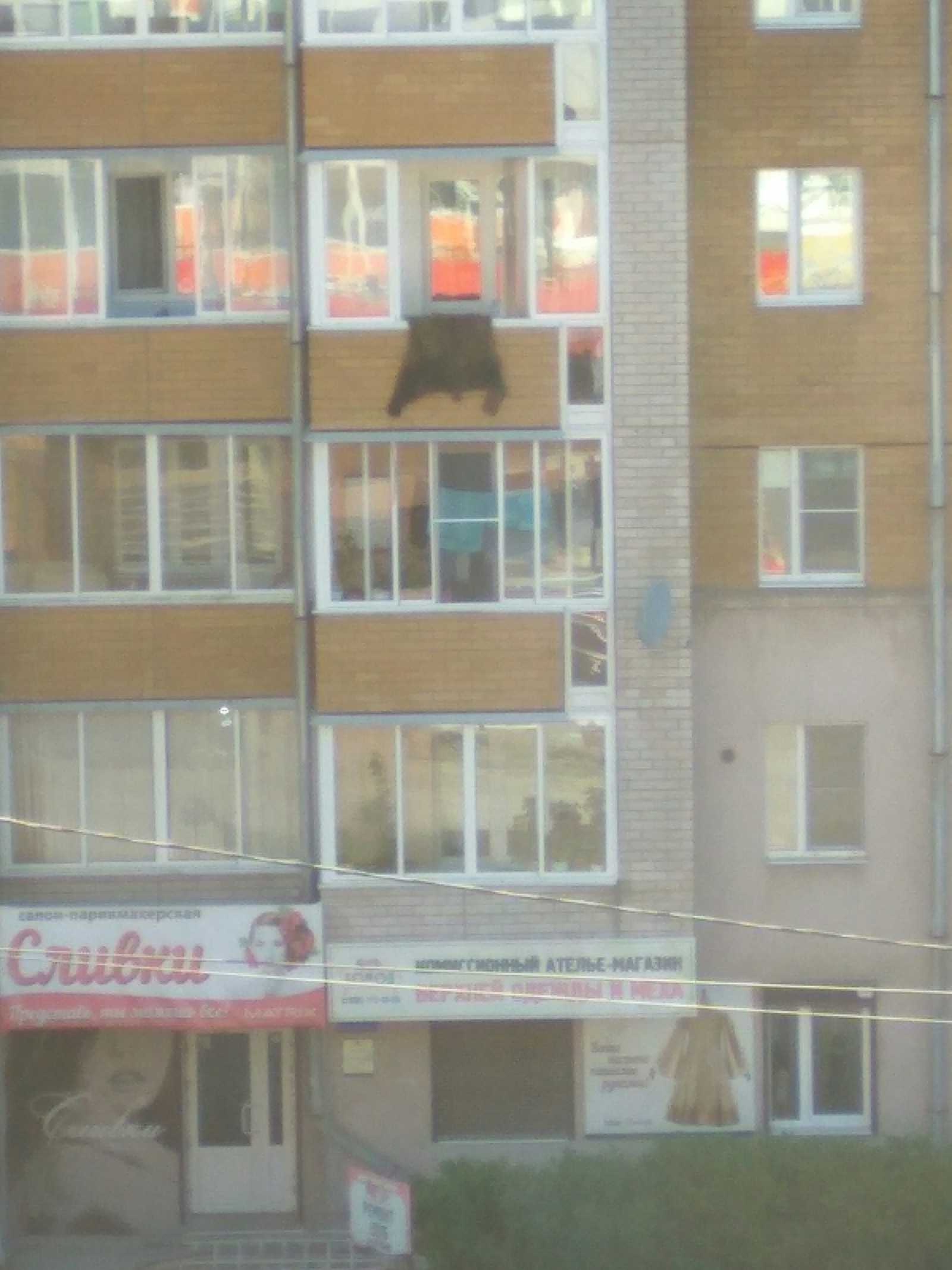 I wanted to, bastard, climb into the window ... - Window, Skin, The Bears, Balcony, Drying, Longpost