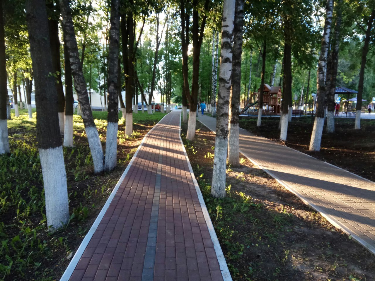 On the question of the Alley of Veterans in Sergiev Posad - Sergiev Posad, Alley of Veterans, Administration, Church, Temple, Longpost, Tree, Birch