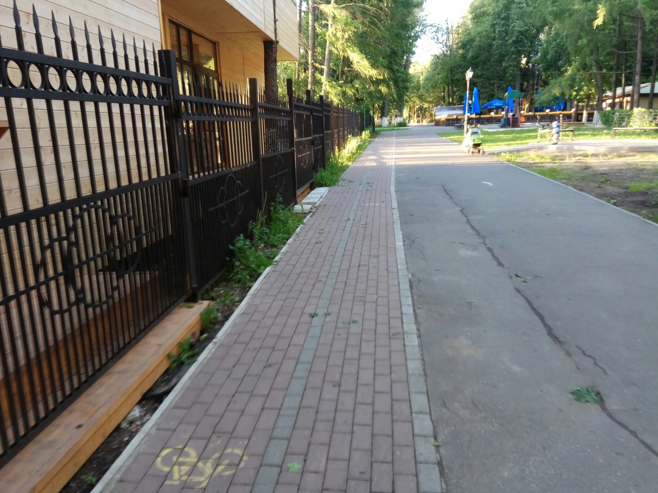 On the question of the Alley of Veterans in Sergiev Posad - Sergiev Posad, Alley of Veterans, Administration, Church, Temple, Longpost, Tree, Birch