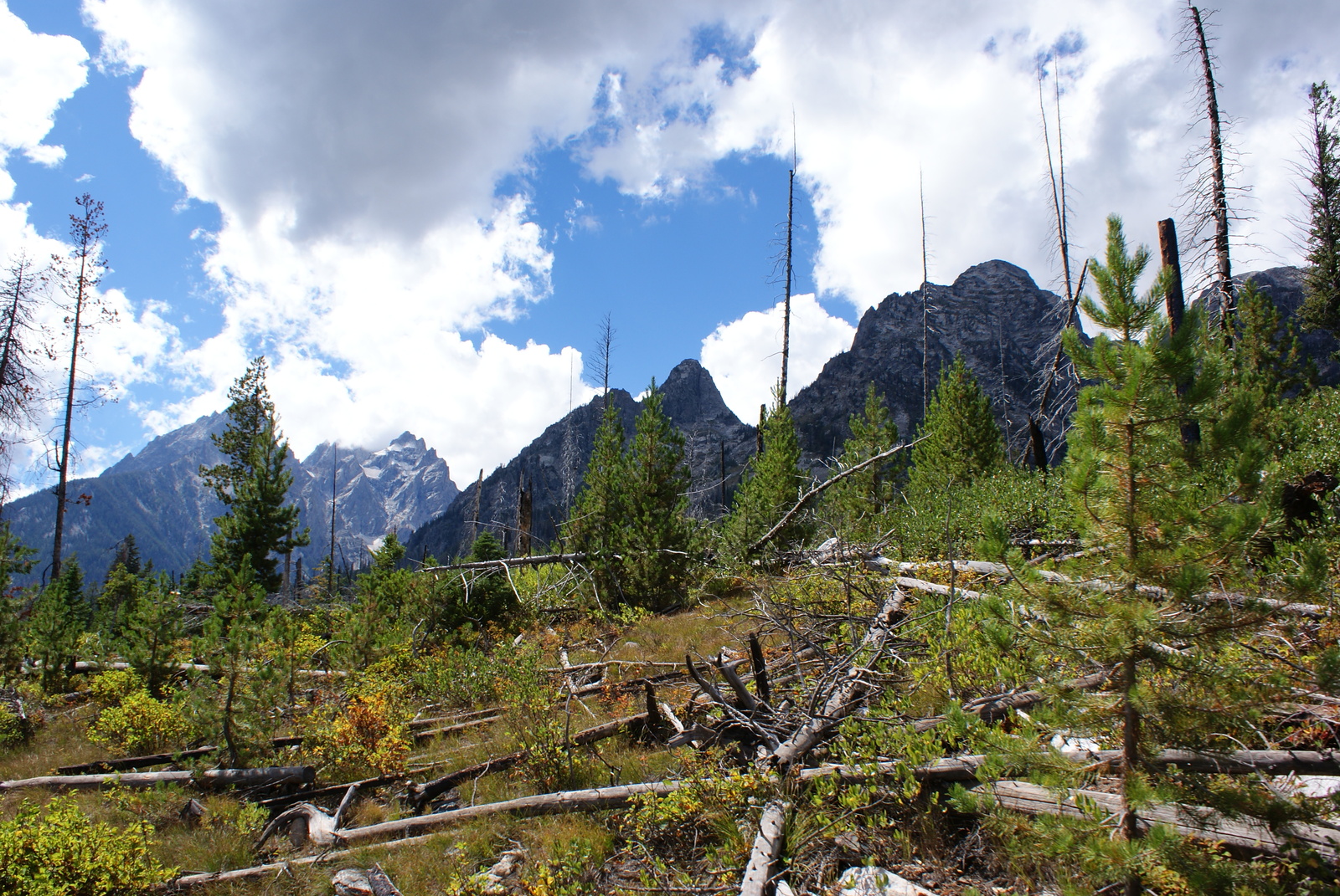 US Travel by Car - Part 2 - Grand Teton National Park - My, USA, Nature, Drive, Travels, The mountains, Longpost