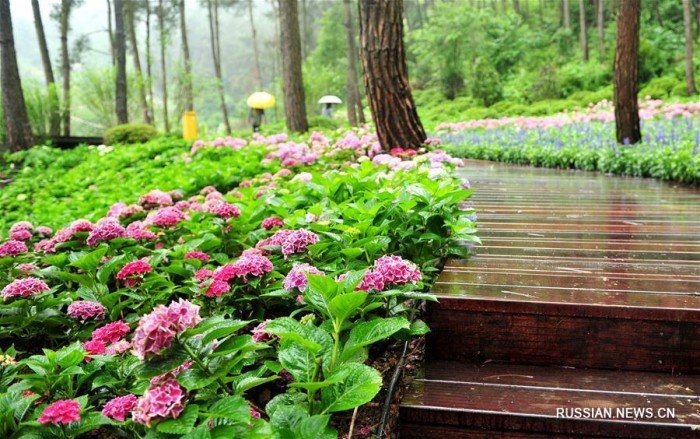 Guiyang - the city of a thousand parks - Ecology, Beautification, Landscape design, Longpost, Guiyang