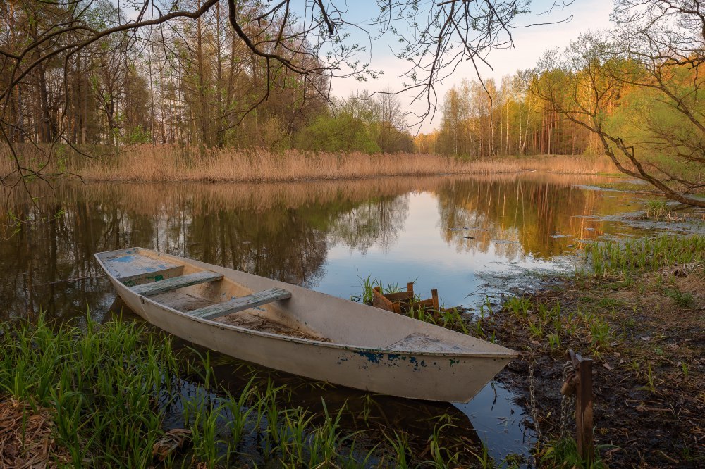 Фото природы - Природа, Фотография, Юлия Лаптева, Длиннопост