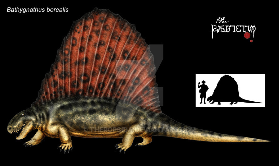 С чего всё начиналось. Сфенакодонты. Часть первая - Моё, Ssynapsid, Палеонтология, Синапсидоморфы, Пермский период, Длиннопост