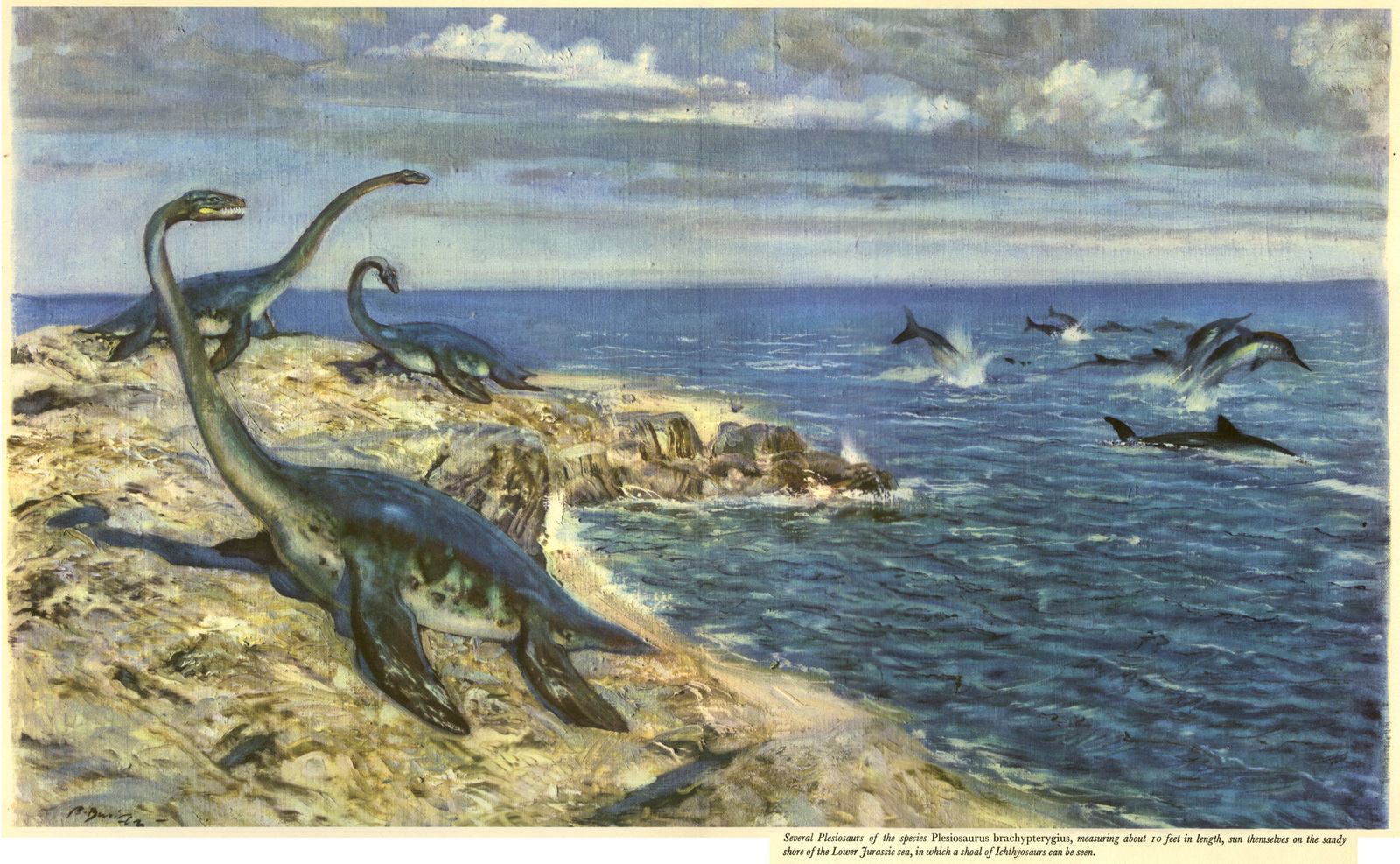 A selection of old school paleoart. - Paleoart, Brachiosaurs, Tyrannosaurus, Paleontology, Longpost