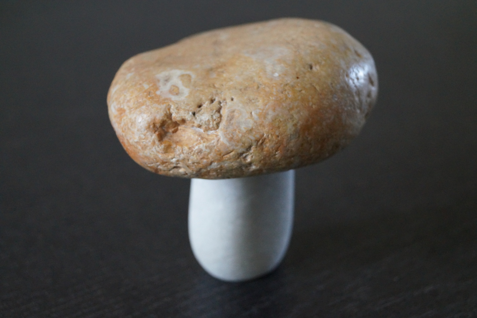 stone mushroom - My, A rock, Mushrooms, , Handmade, With your own hands, The photo, Sculpture, Longpost