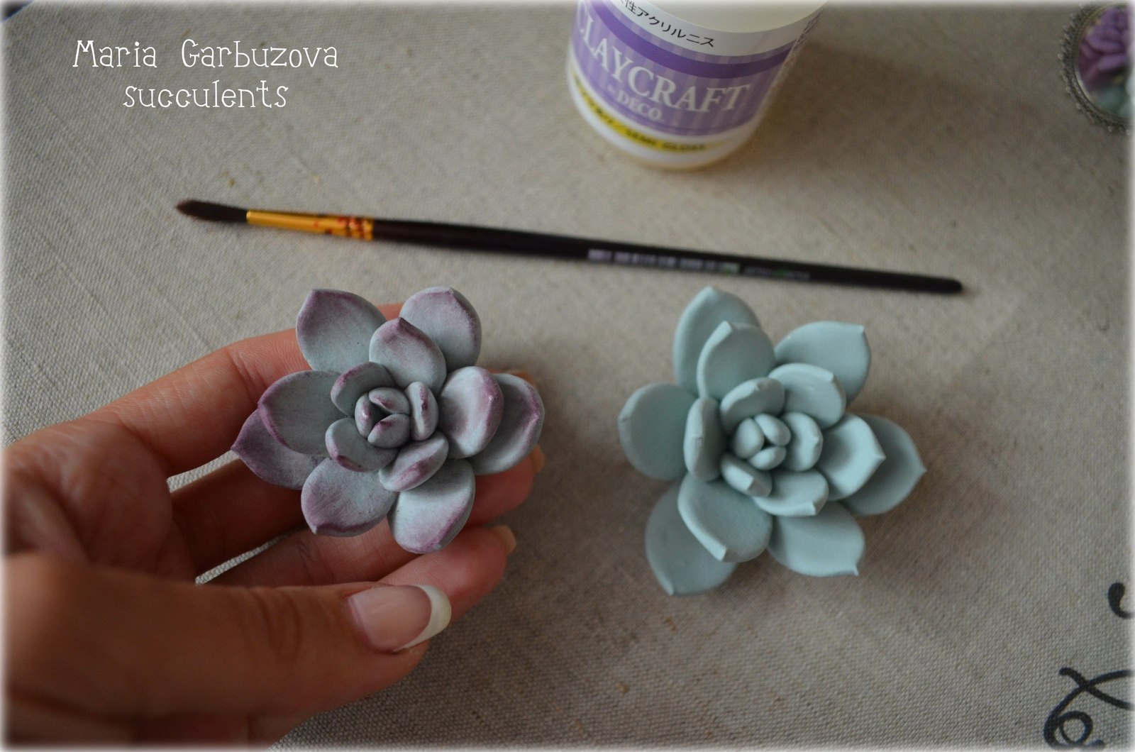 Polymer clay succulents - My, Polymer clay, Flowers, With your own hands, Longpost