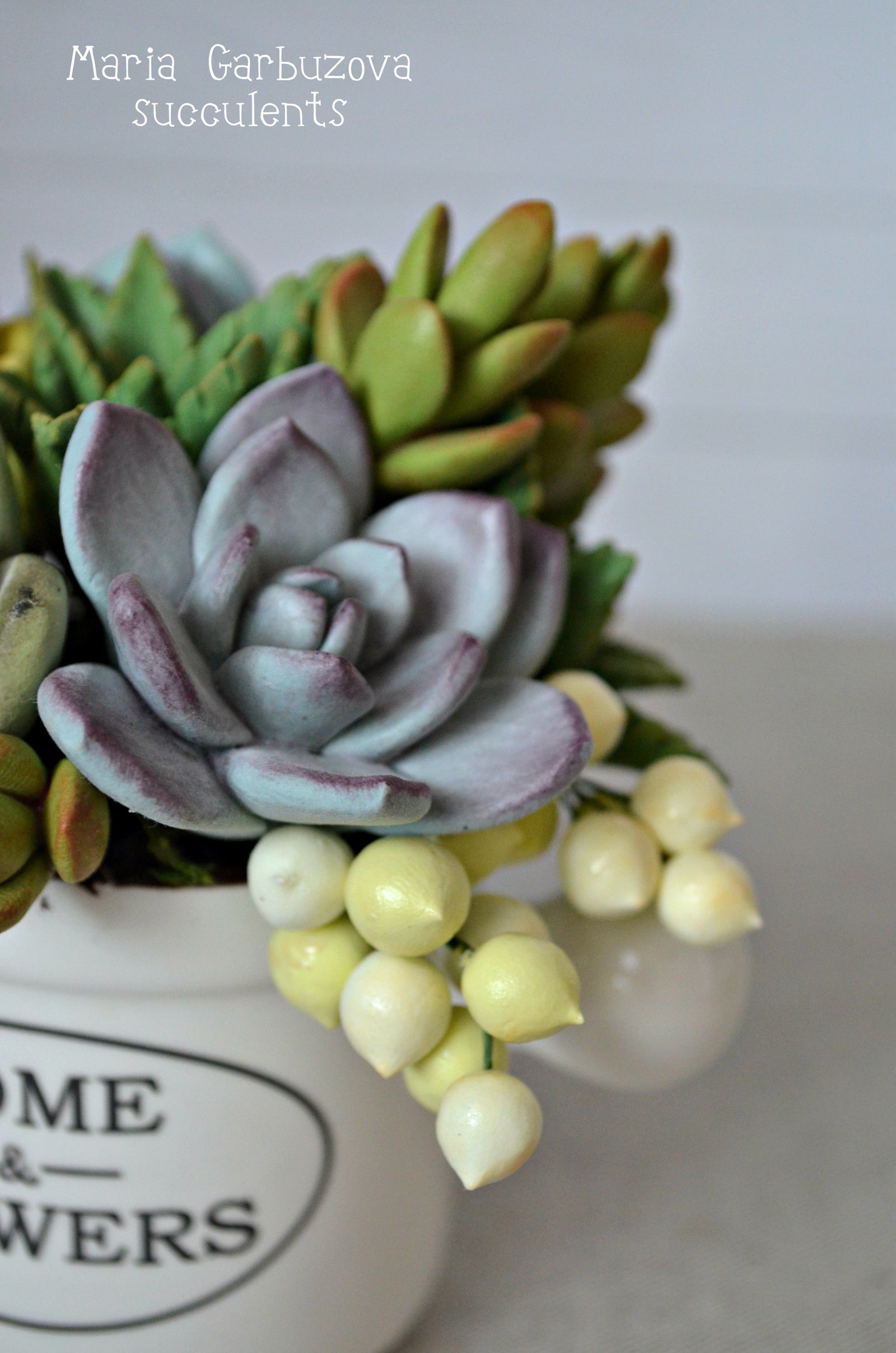 Polymer clay succulents - My, Polymer clay, Flowers, With your own hands, Longpost