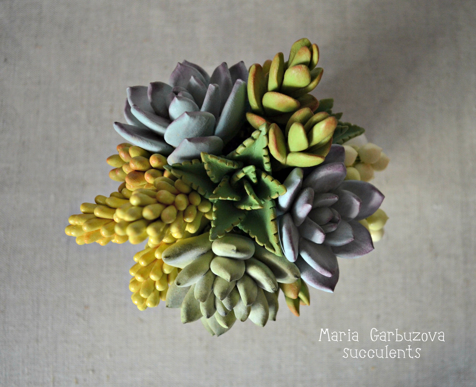 Polymer clay succulents - My, Polymer clay, Flowers, With your own hands, Longpost