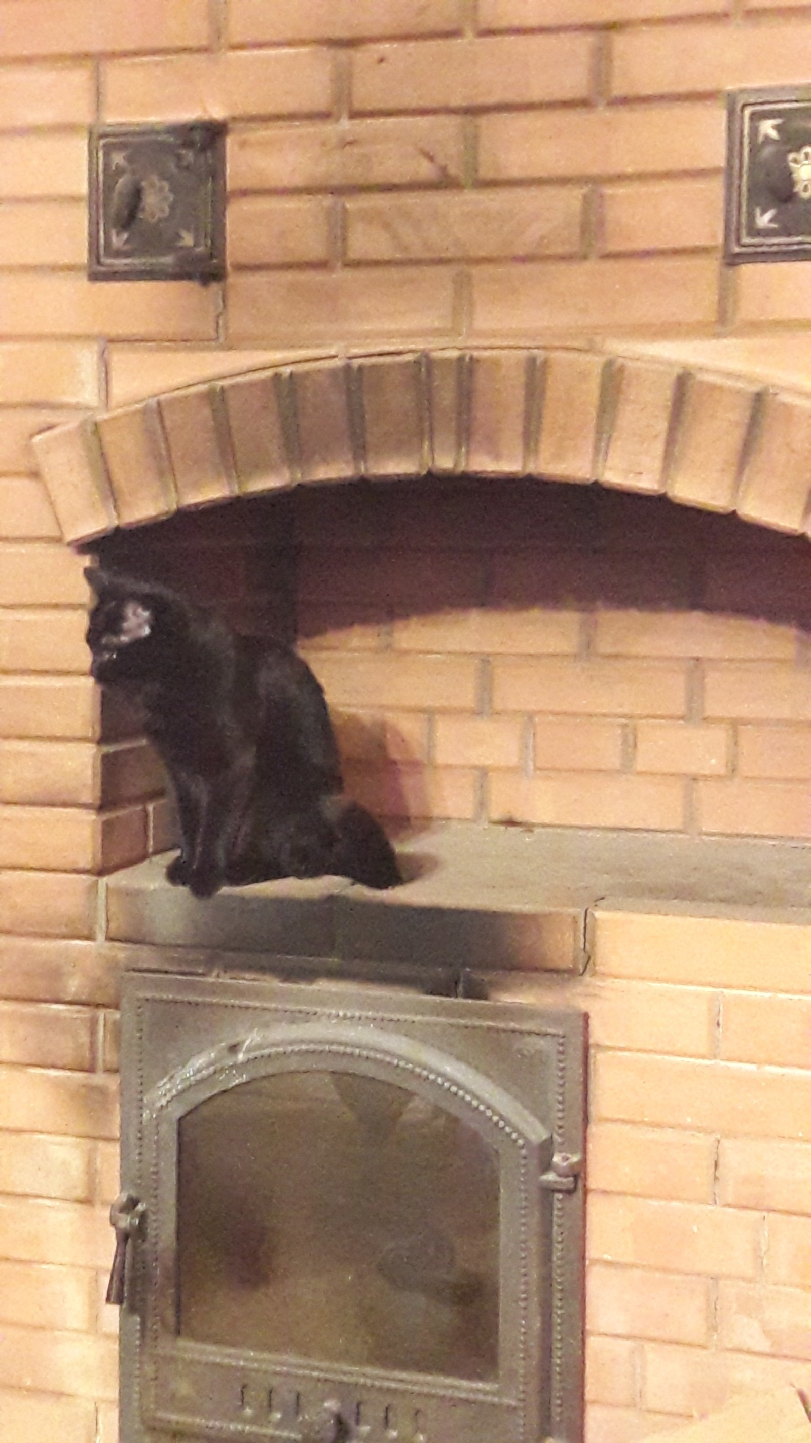 cat on the stove - My, Bagheera, Bake, Black cat, Summer