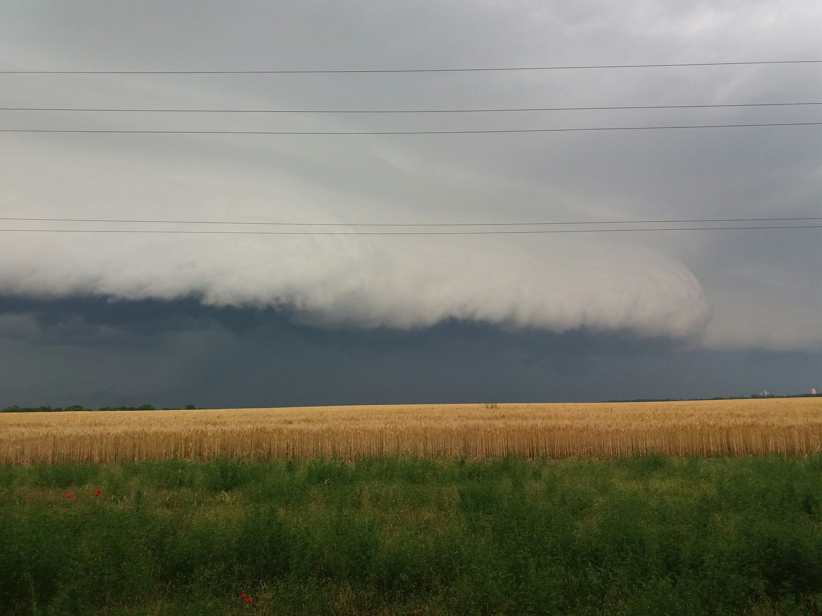 Looks like it's starting to rain... - My, Good weather, Clouds, Field, Rain, Hurricane, The photo, Longpost