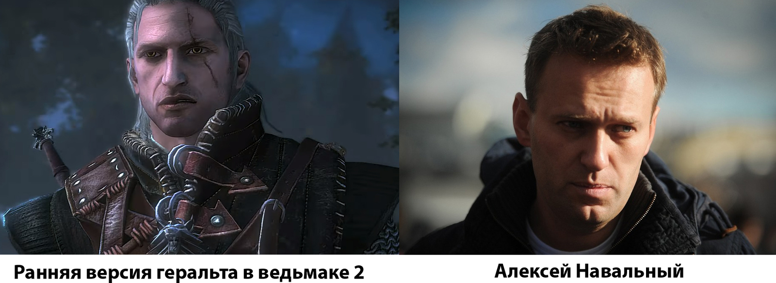 Navalny from Rivia - My, Alexey Navalny, The Witcher 3: Wild Hunt, FBK, Politics