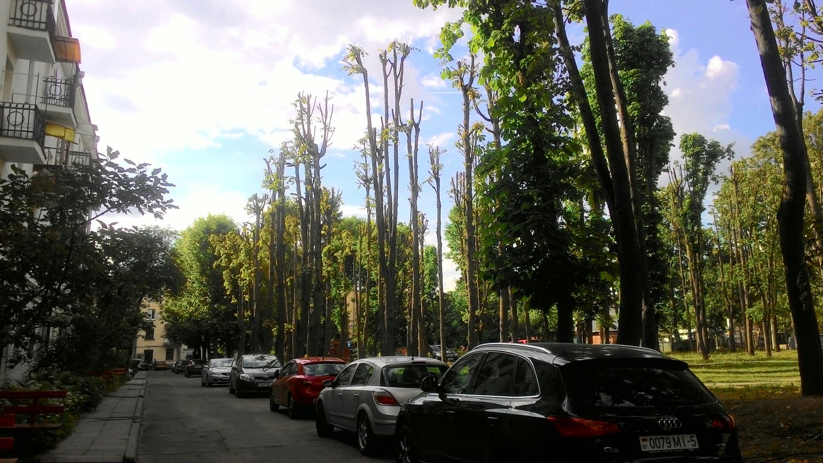 Courtyard - Tree, Sky, Minsk