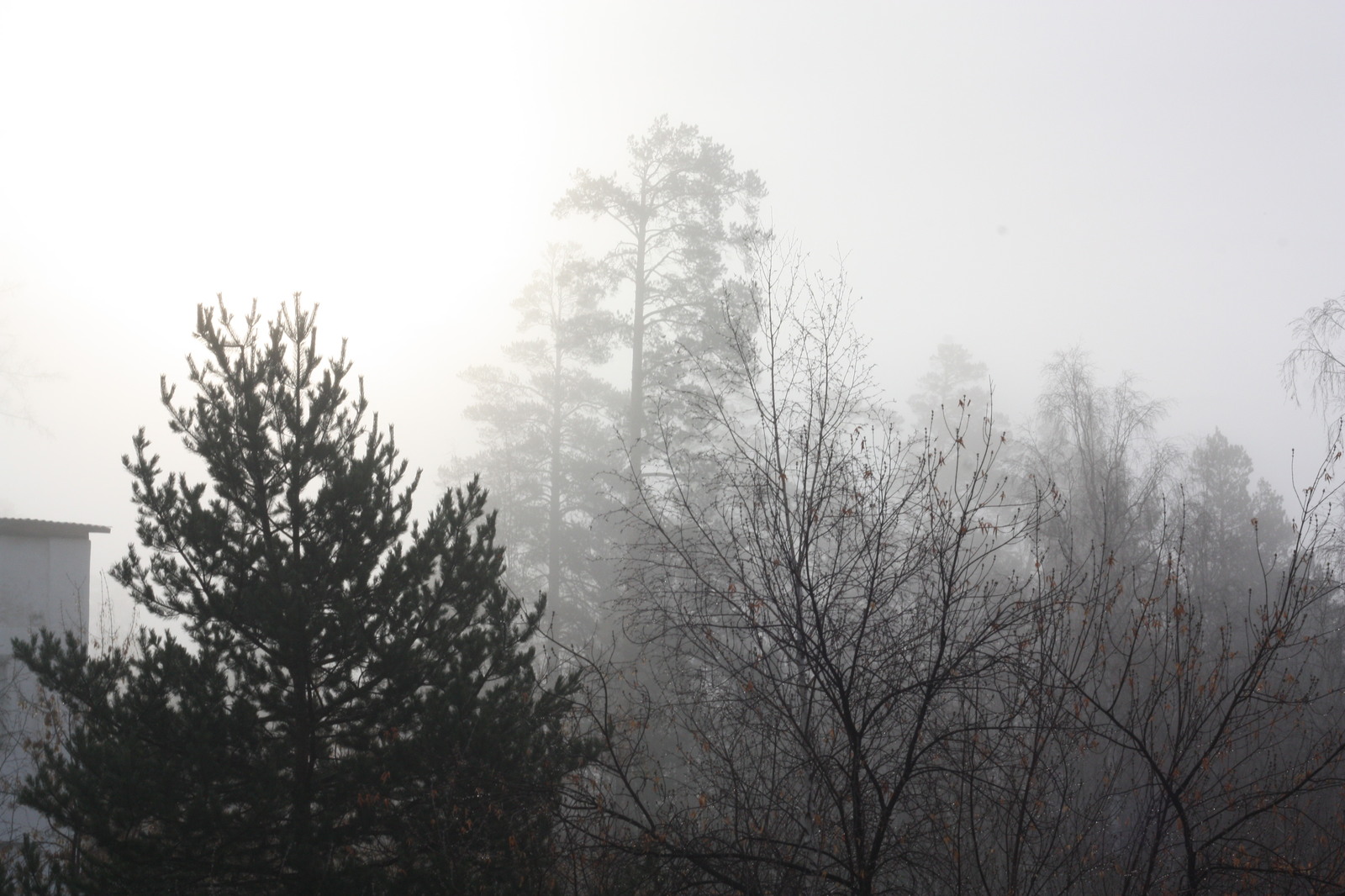 Baikal region at the end of March - My, The photo, Amateur photographer, Baikal, Buryatia, Longpost