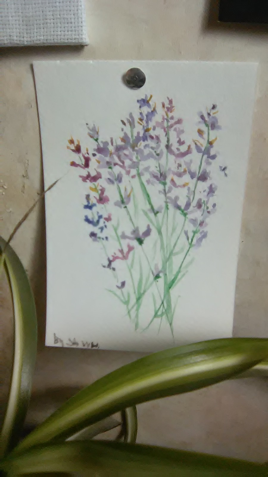 Postcards for those who wish - My, Watercolor, Postcard, Presents, Flowers, Longpost